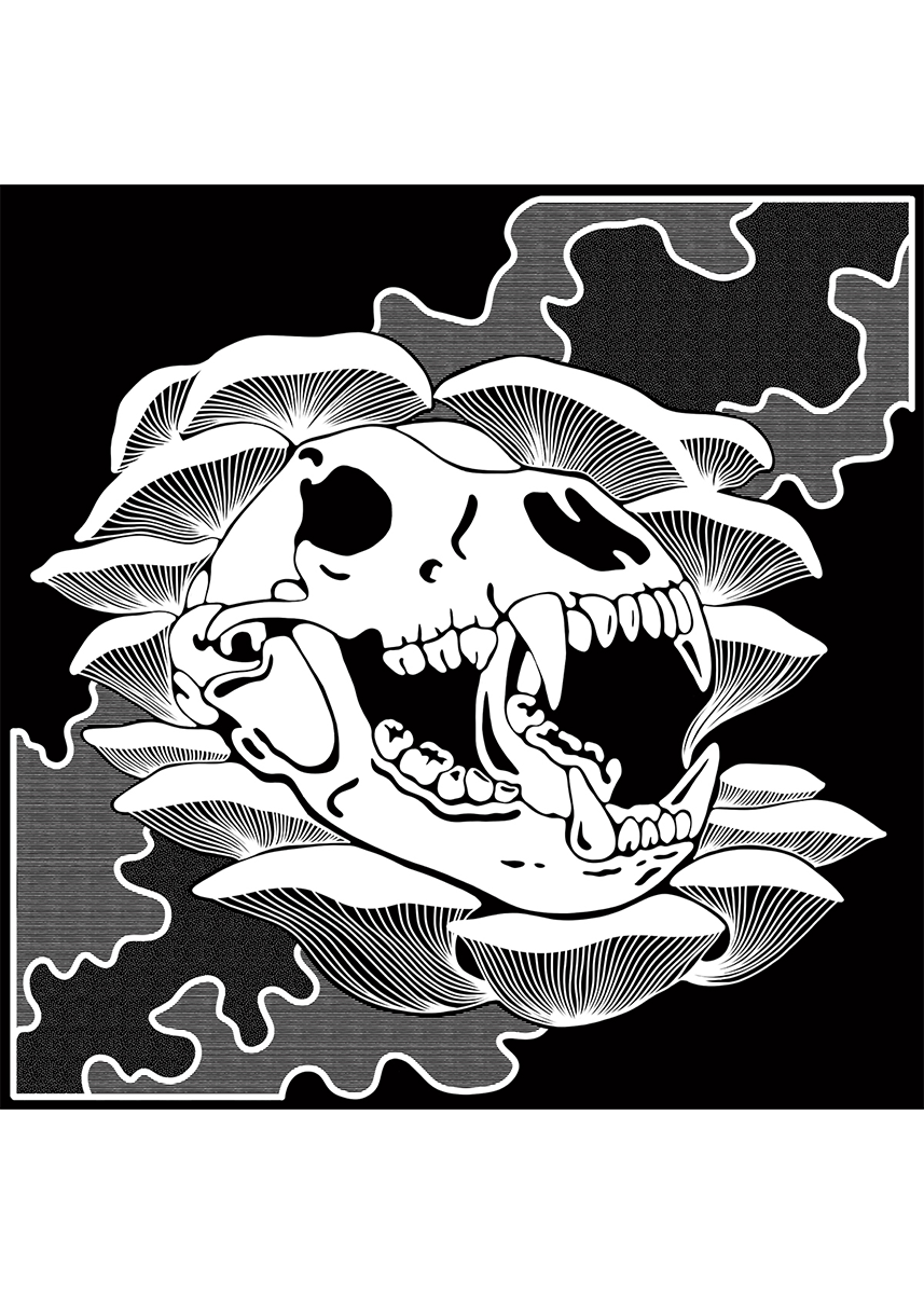 Bear-Skull-Zosia-Paszkiet