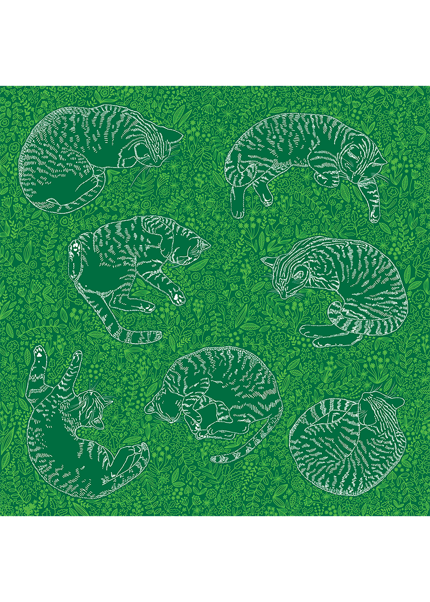 Cats-Zosia-Paszkiet