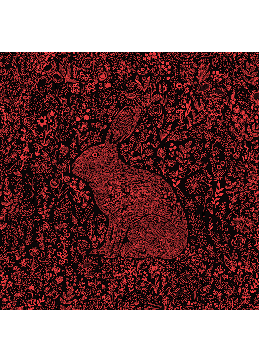 Rabbit-Red-Zosia-Paszkiet