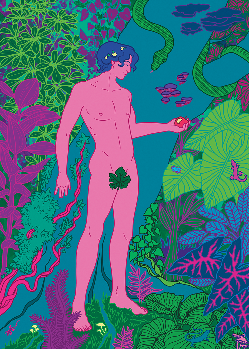 digital, Procreate